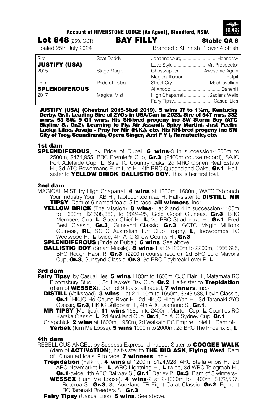 Pedigree - Lot 848