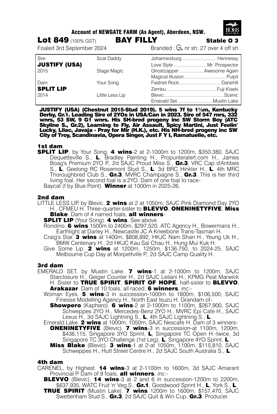 Pedigree - Lot 849