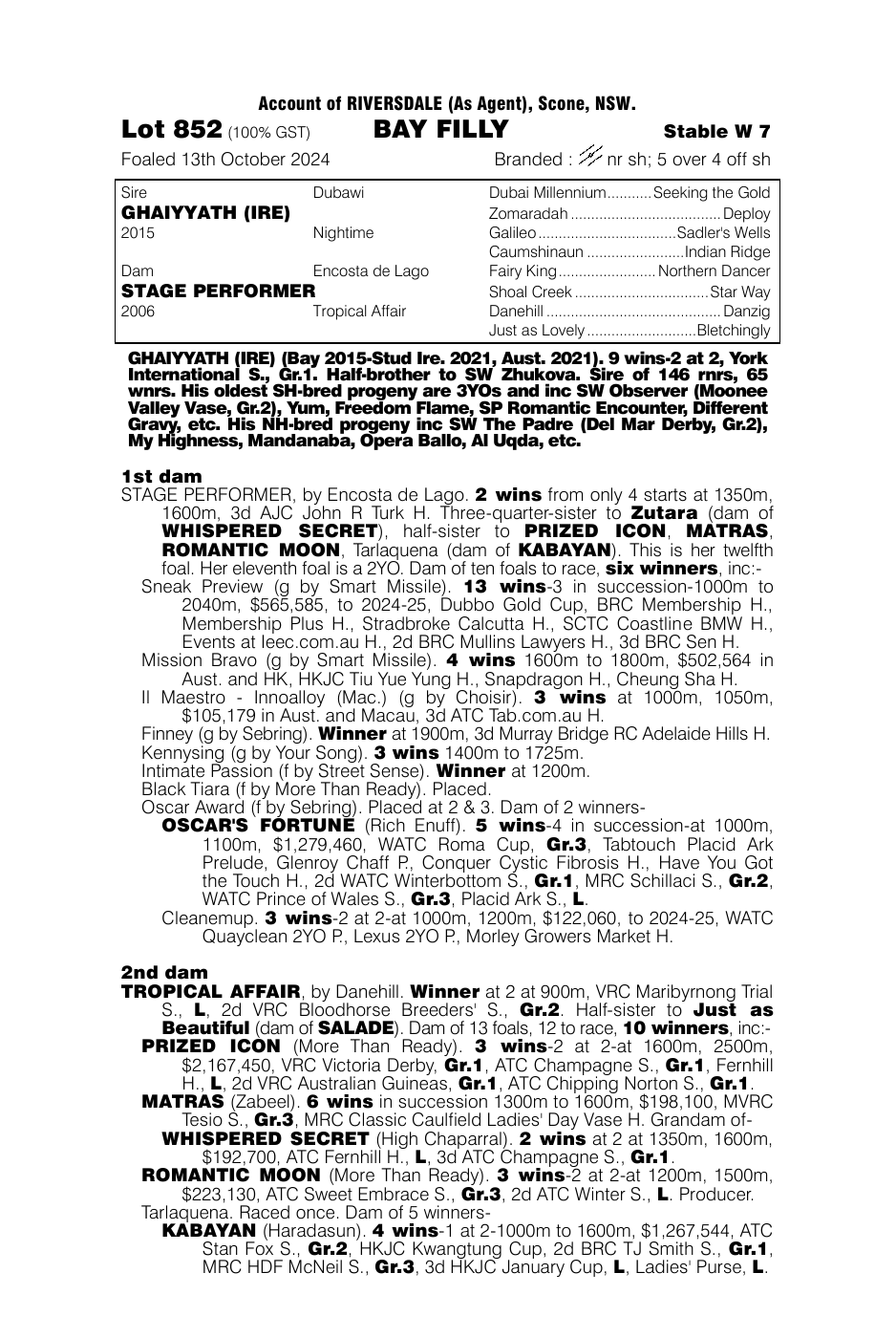 Pedigree - Lot 852