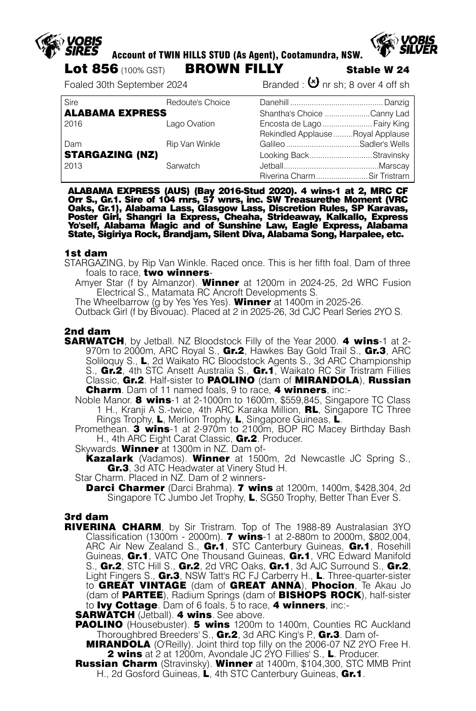 Pedigree - Lot 856