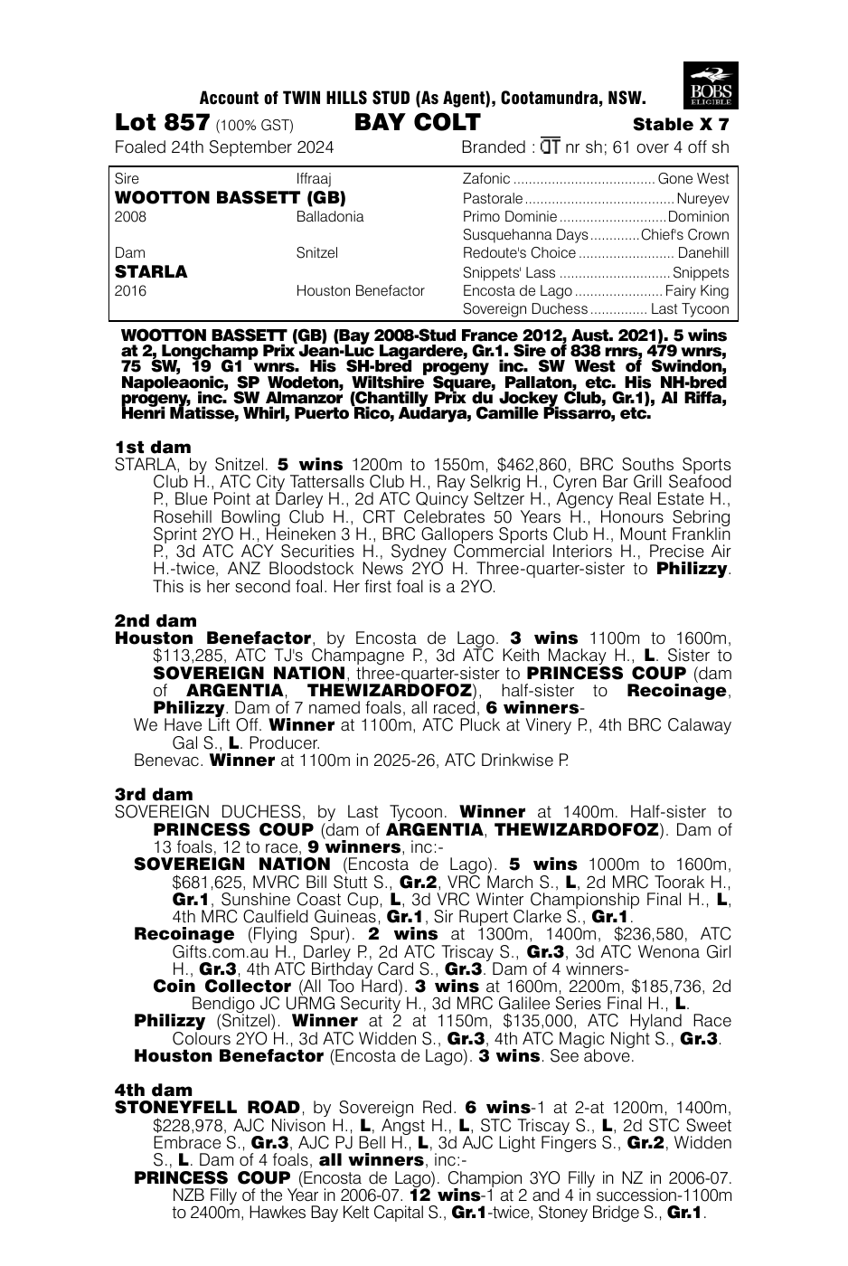 Pedigree - Lot 857