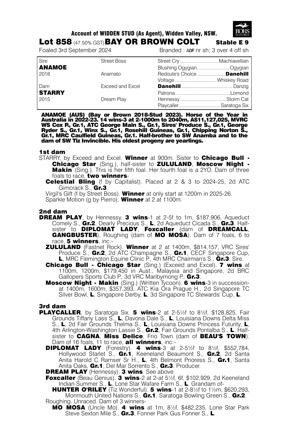 Pedigree - Lot 858