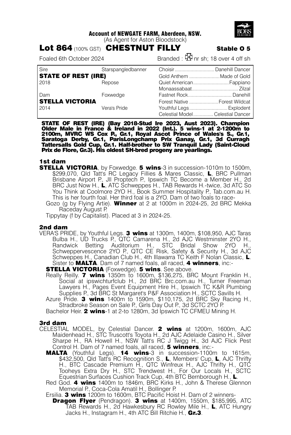 Pedigree - Lot 864