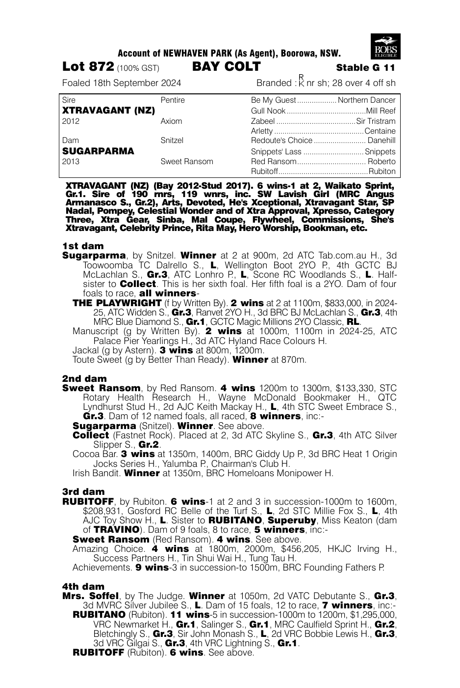 Pedigree - Lot 872
