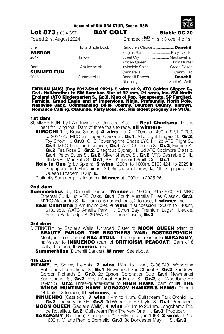 Pedigree - Lot 873