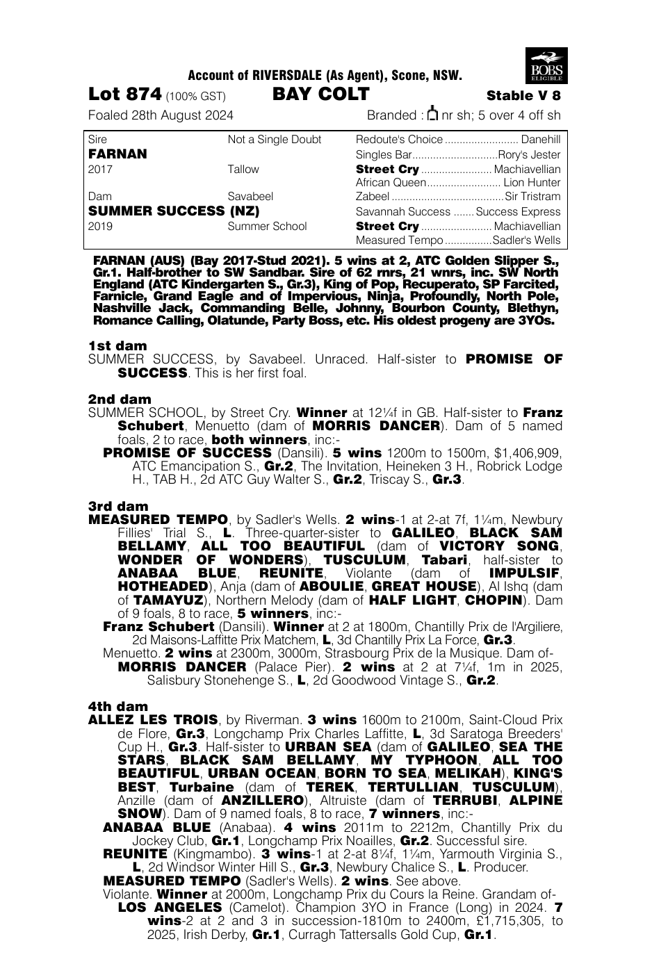 Pedigree - Lot 874