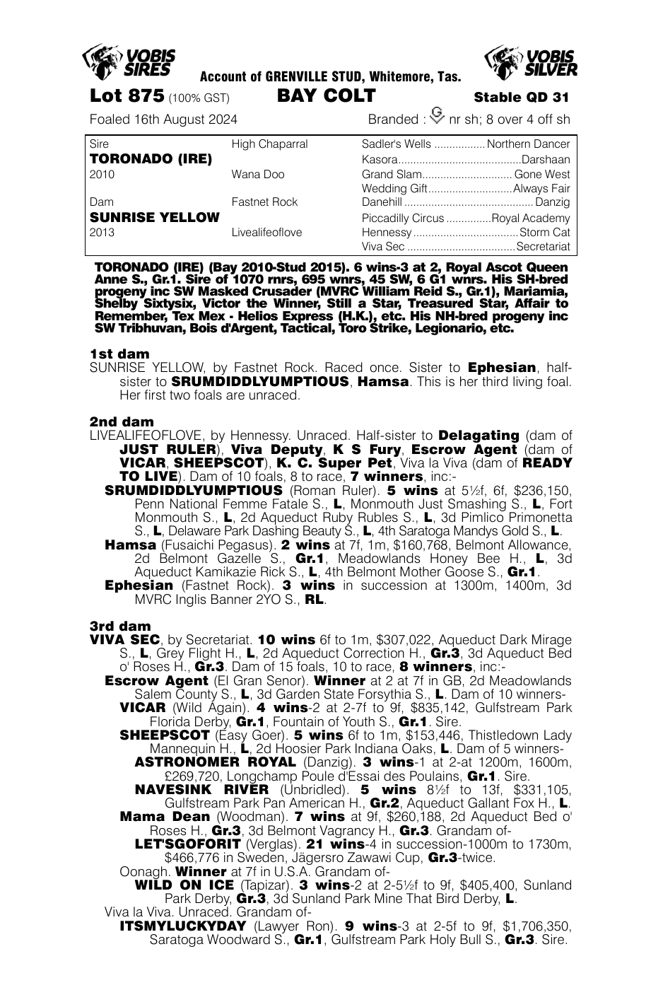 Pedigree - Lot 875