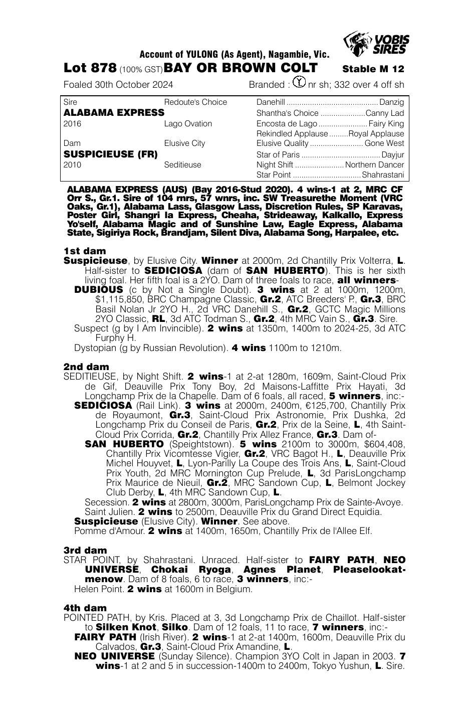 Pedigree - Lot 878
