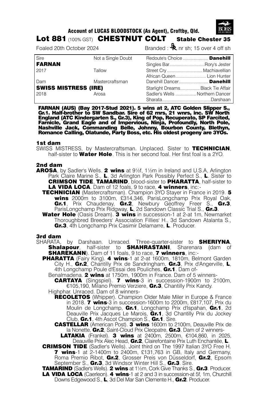 Pedigree - Lot 881