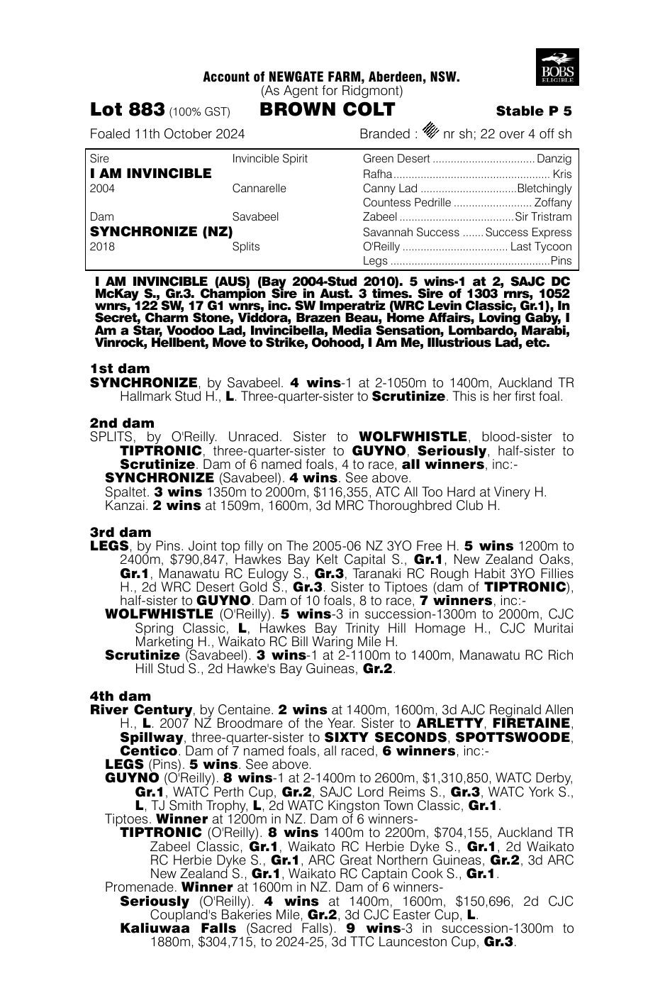 Pedigree - Lot 883
