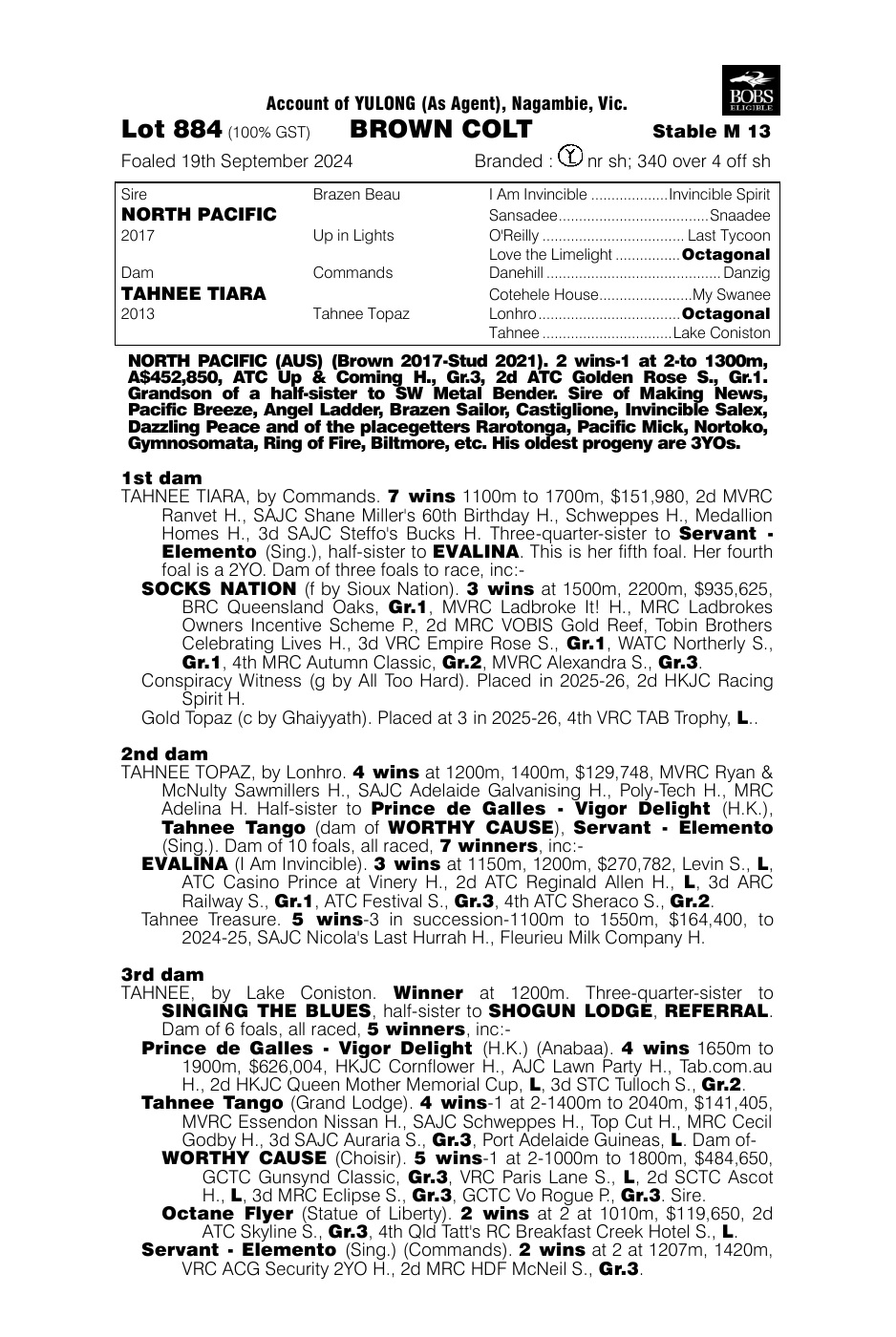 Pedigree - Lot 884