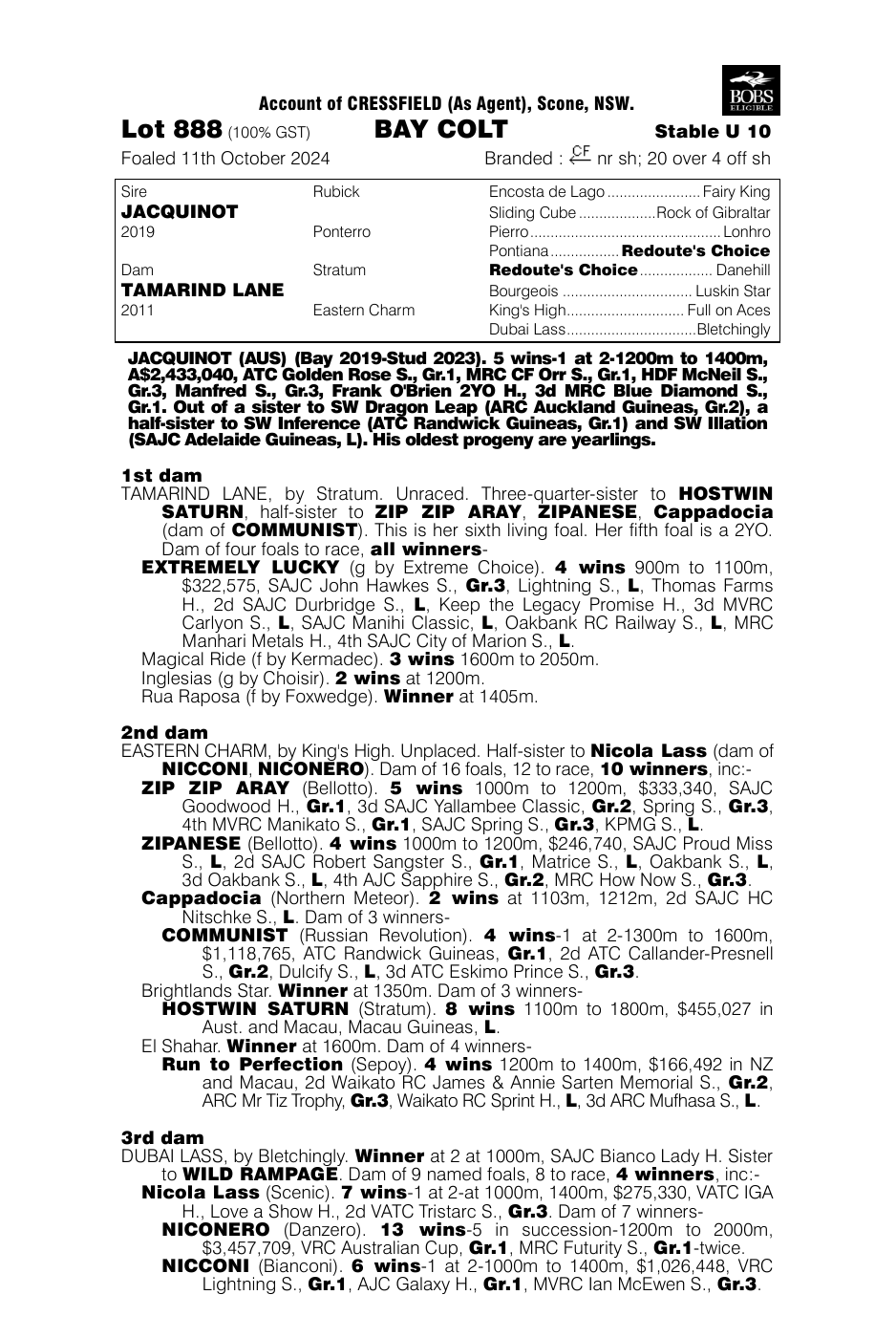 Pedigree - Lot 888