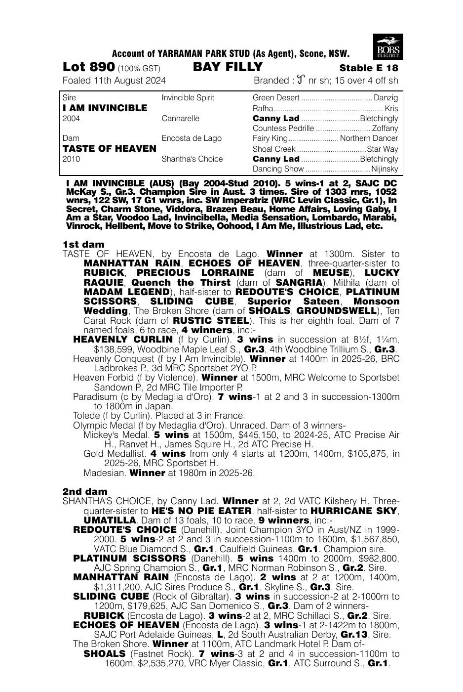 Pedigree - Lot 890