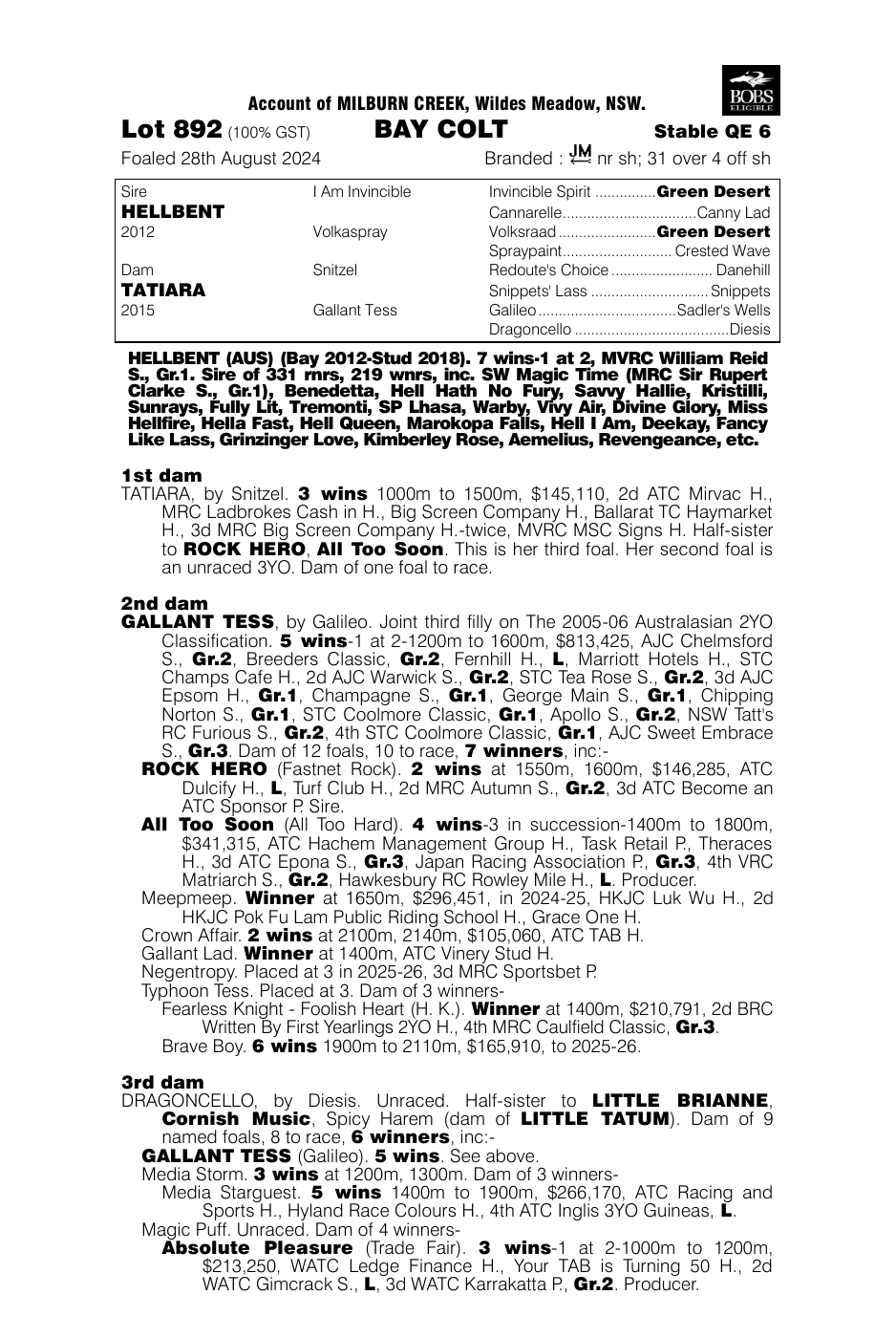 Pedigree - Lot 892