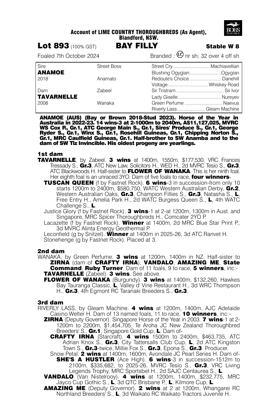 Pedigree - Lot 893
