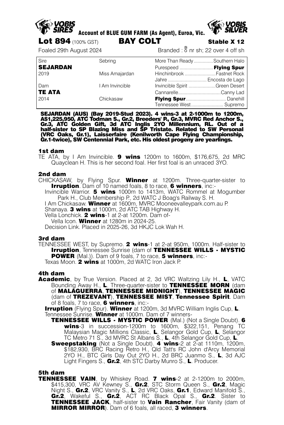 Pedigree - Lot 894