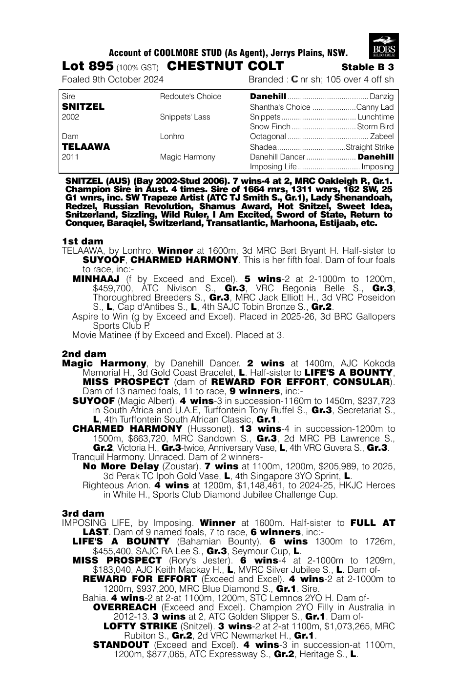 Pedigree - Lot 895