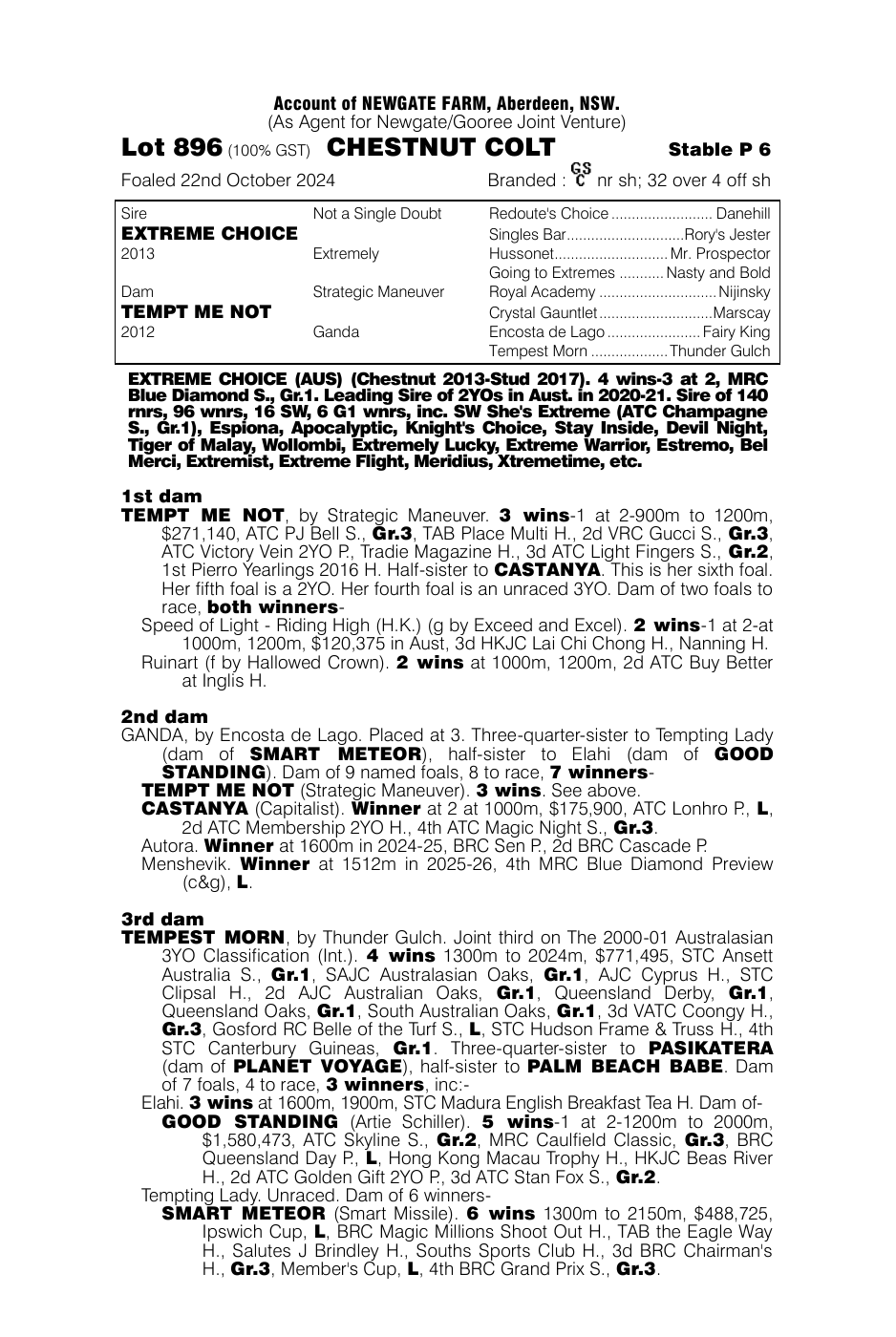 Pedigree - Lot 896