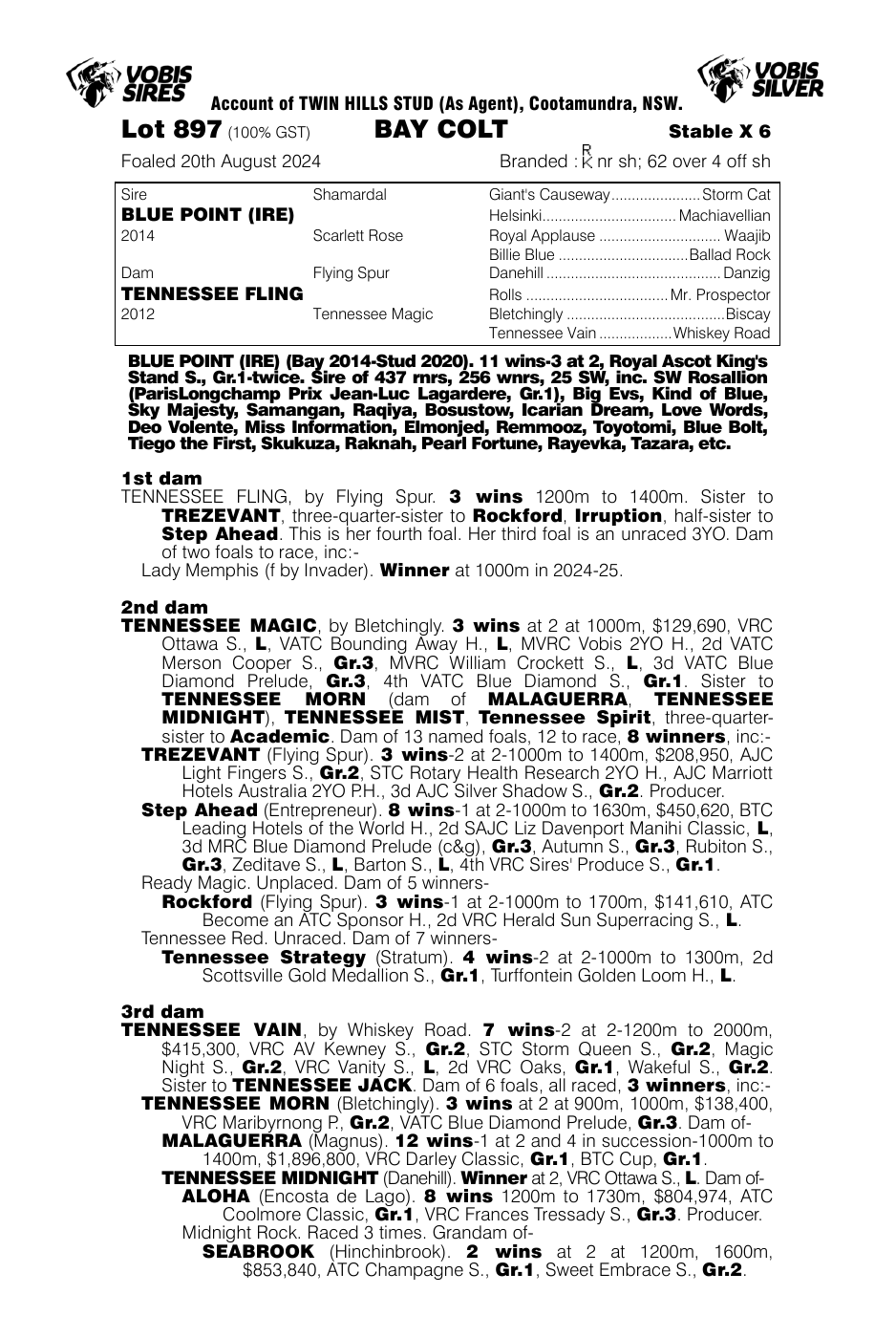 Pedigree - Lot 897