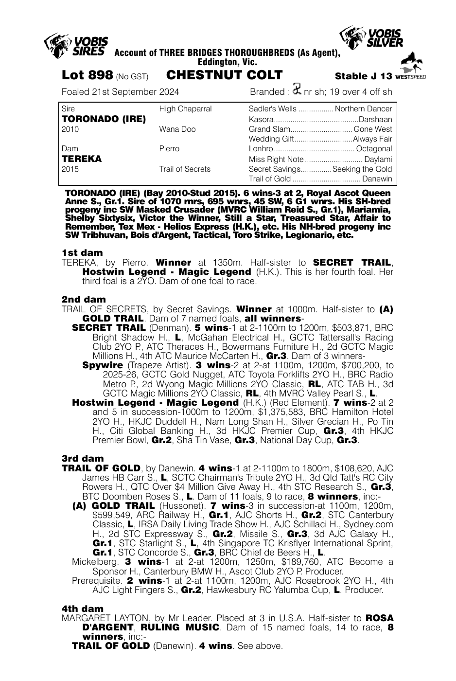 Pedigree - Lot 898