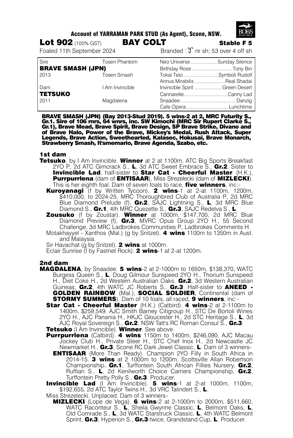Pedigree - Lot 902
