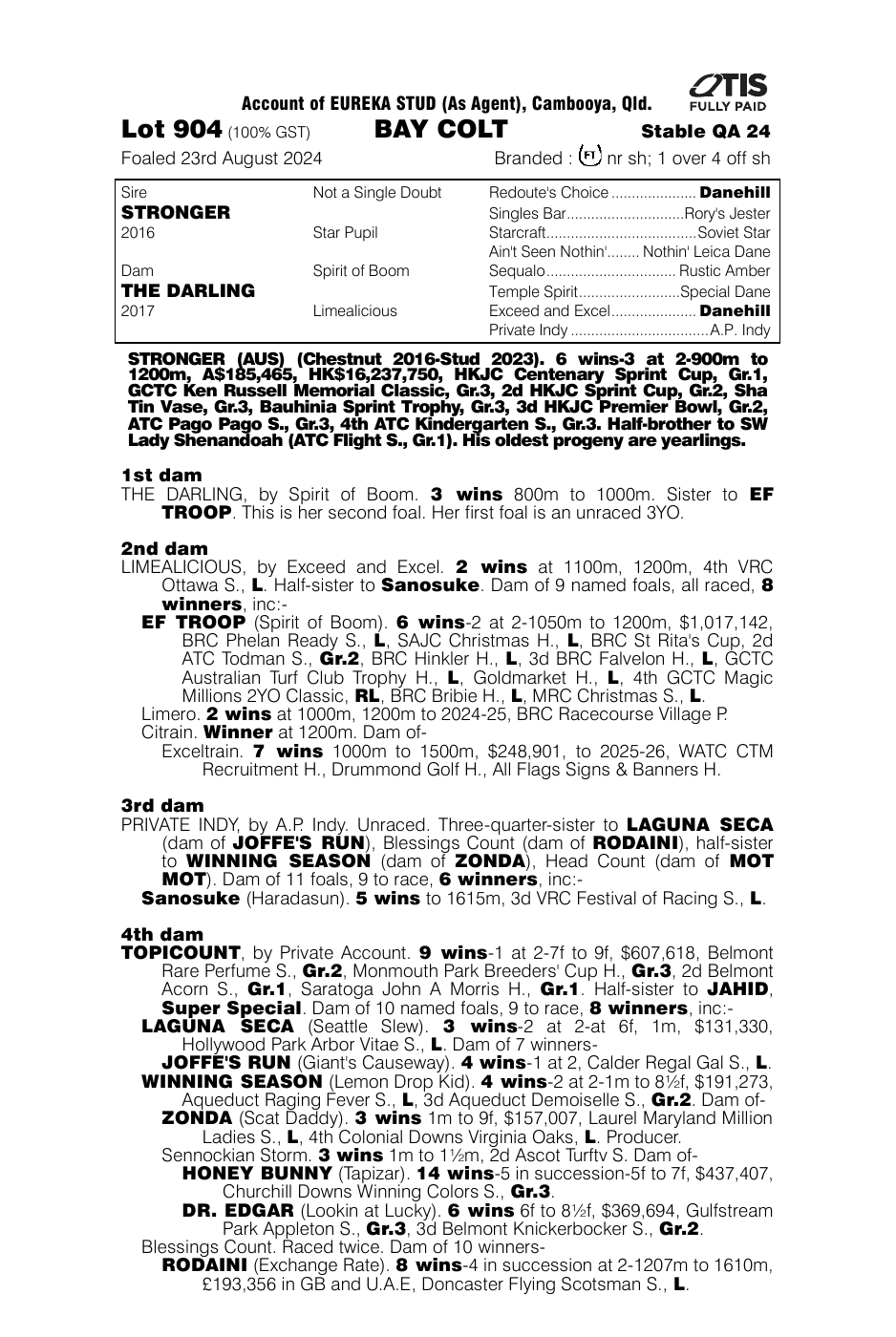 Pedigree - Lot 904
