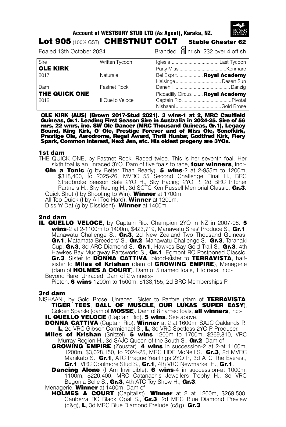 Pedigree - Lot 905