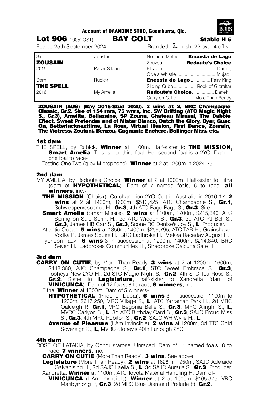 Pedigree - Lot 906