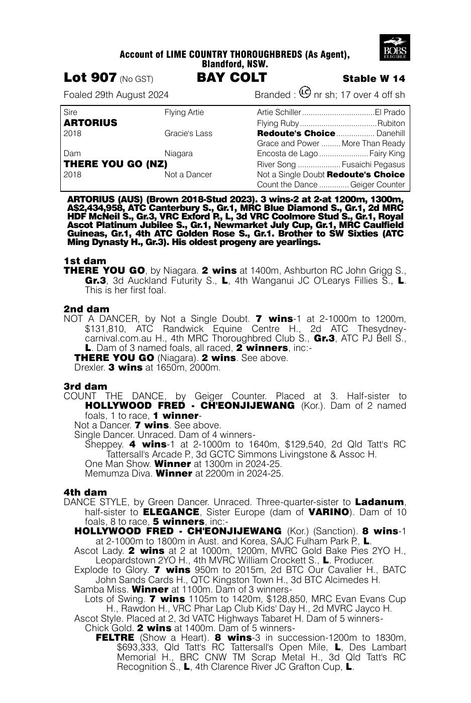 Pedigree - Lot 907