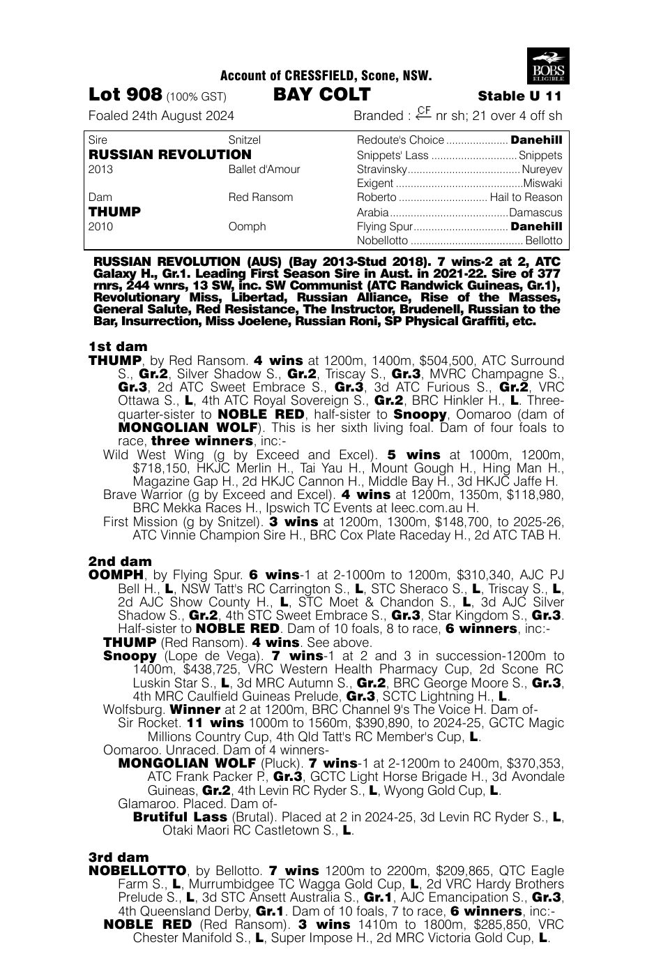 Pedigree - Lot 908