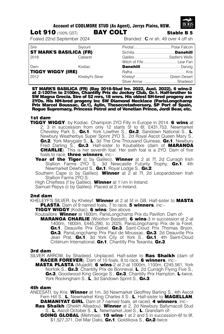Pedigree - Lot 910