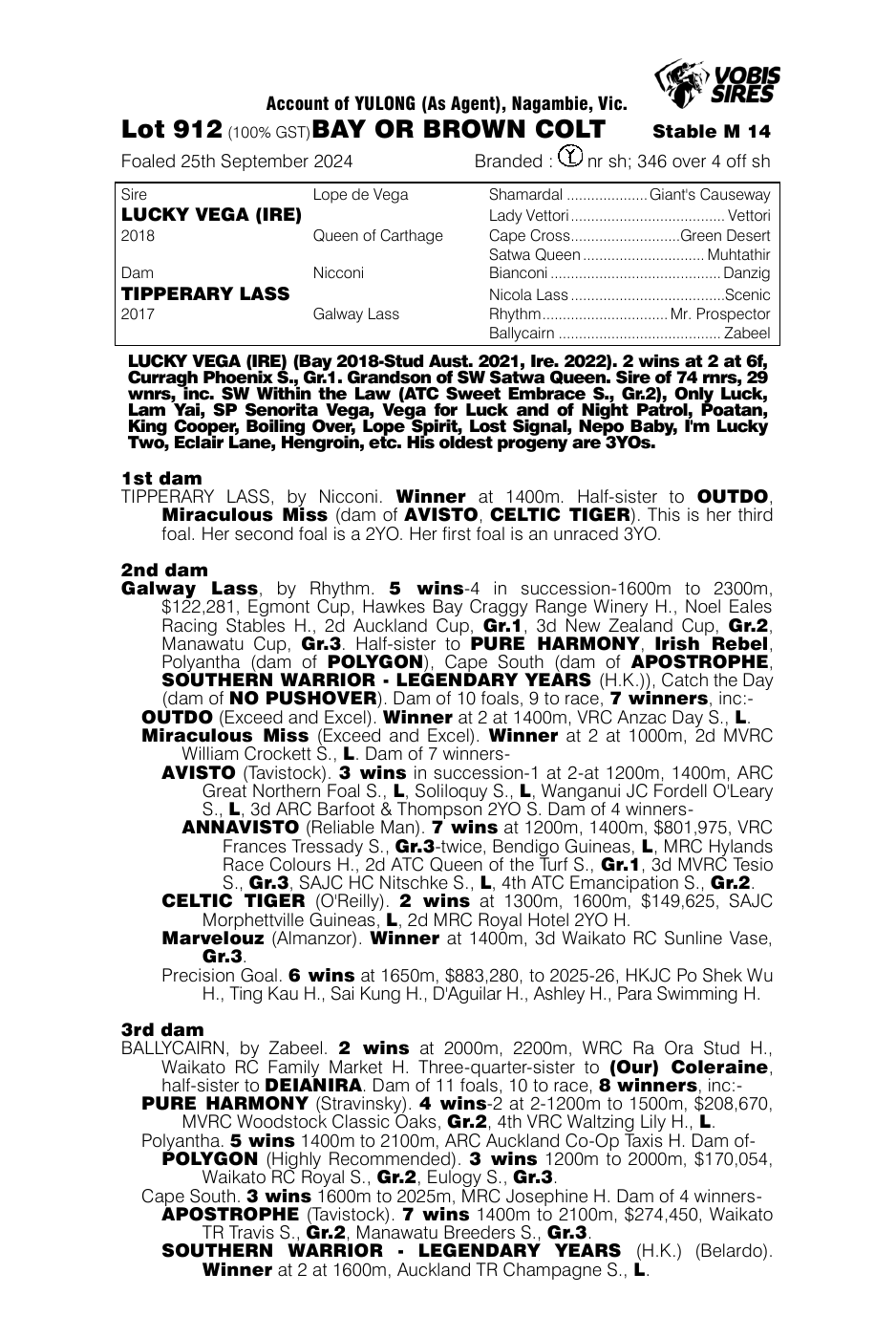 Pedigree - Lot 912