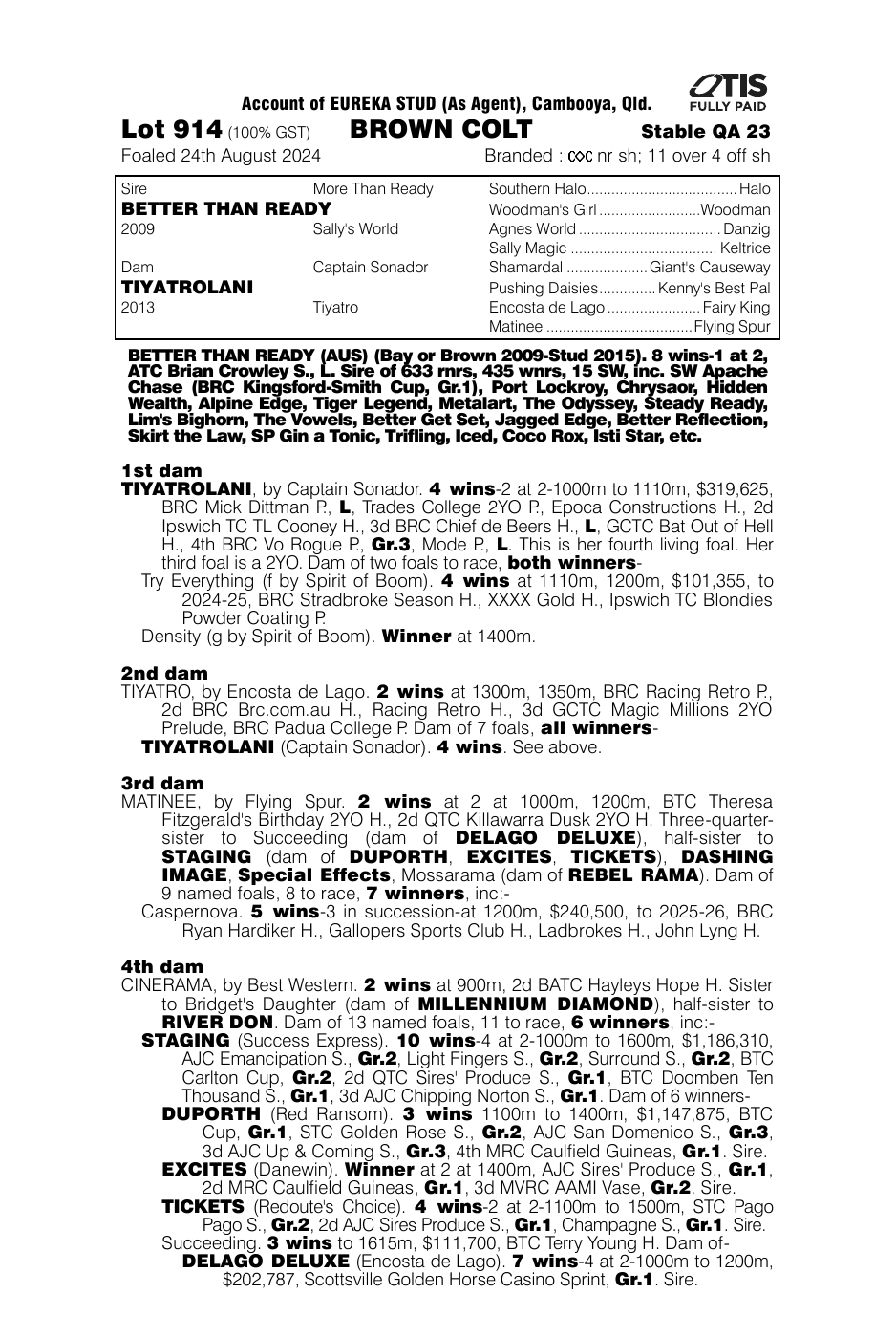 Pedigree - Lot 914