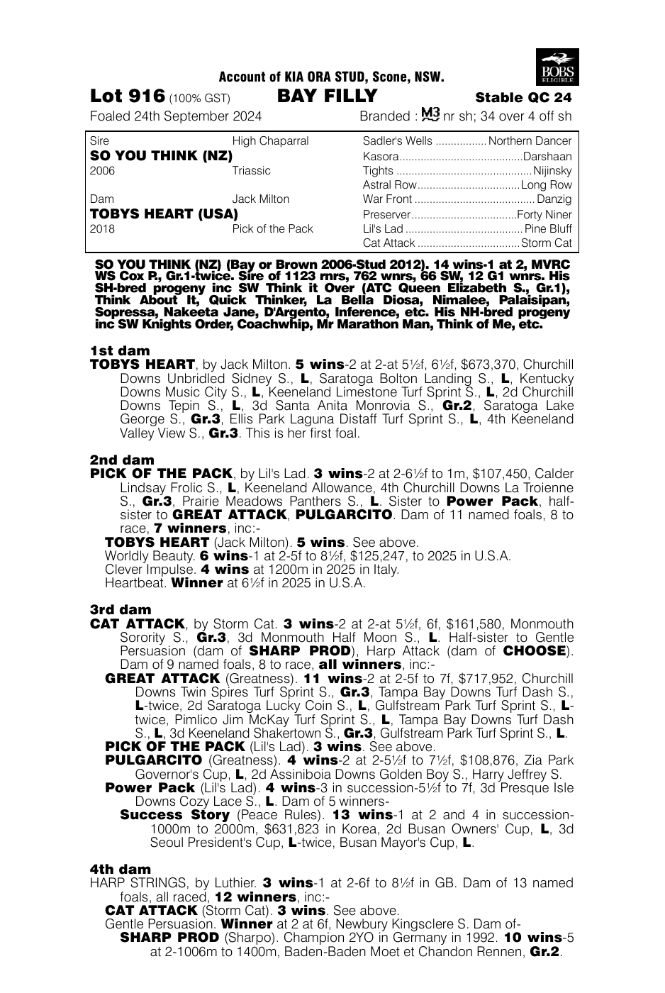 Pedigree - Lot 916