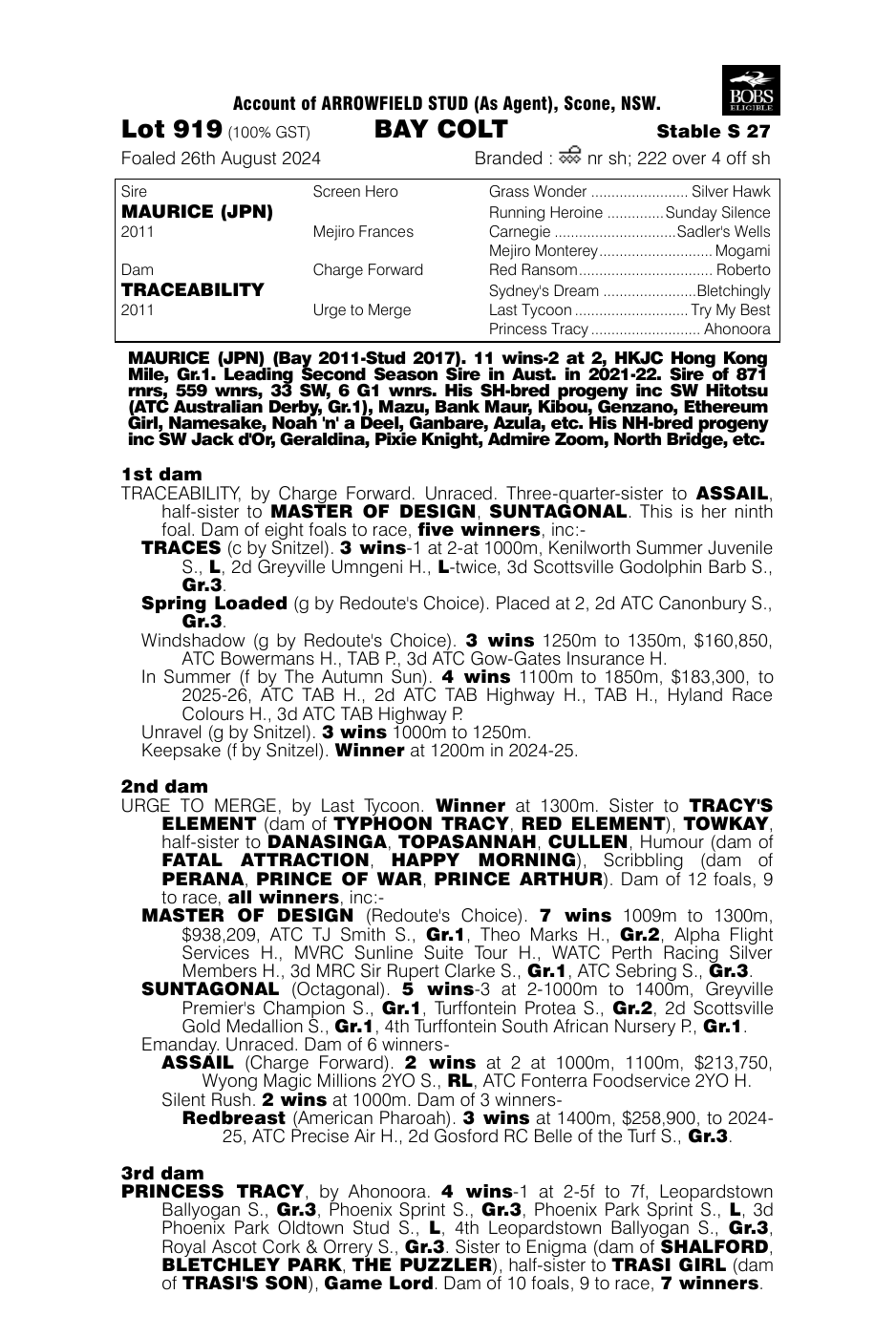 Pedigree - Lot 919