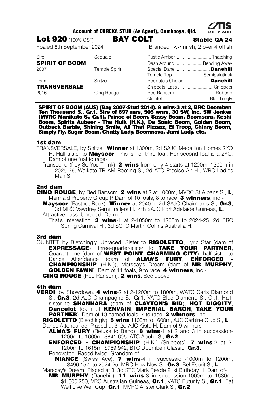 Pedigree - Lot 920