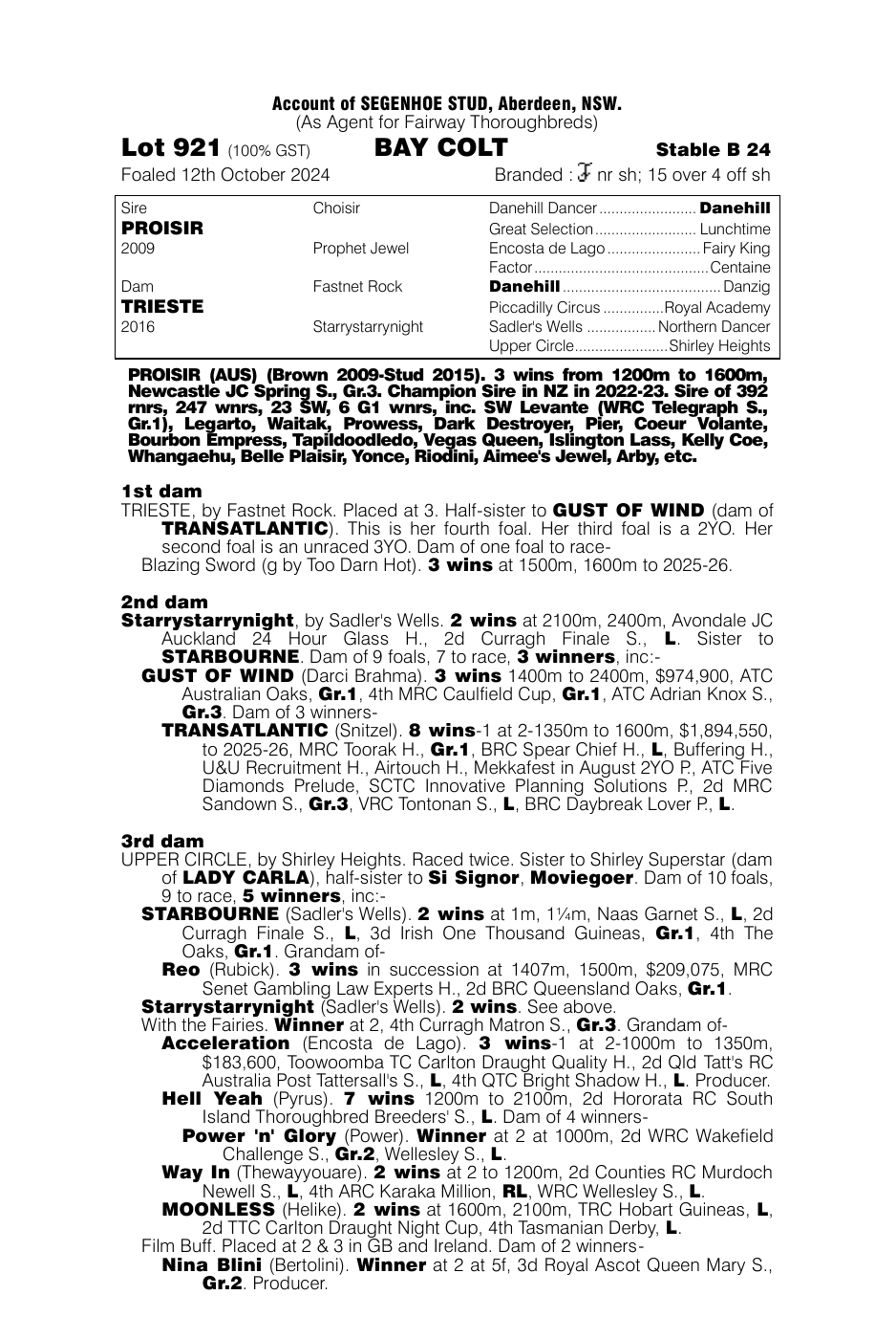 Pedigree - Lot 921