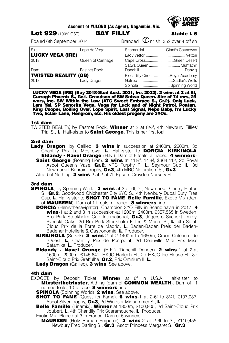 Pedigree - Lot 929