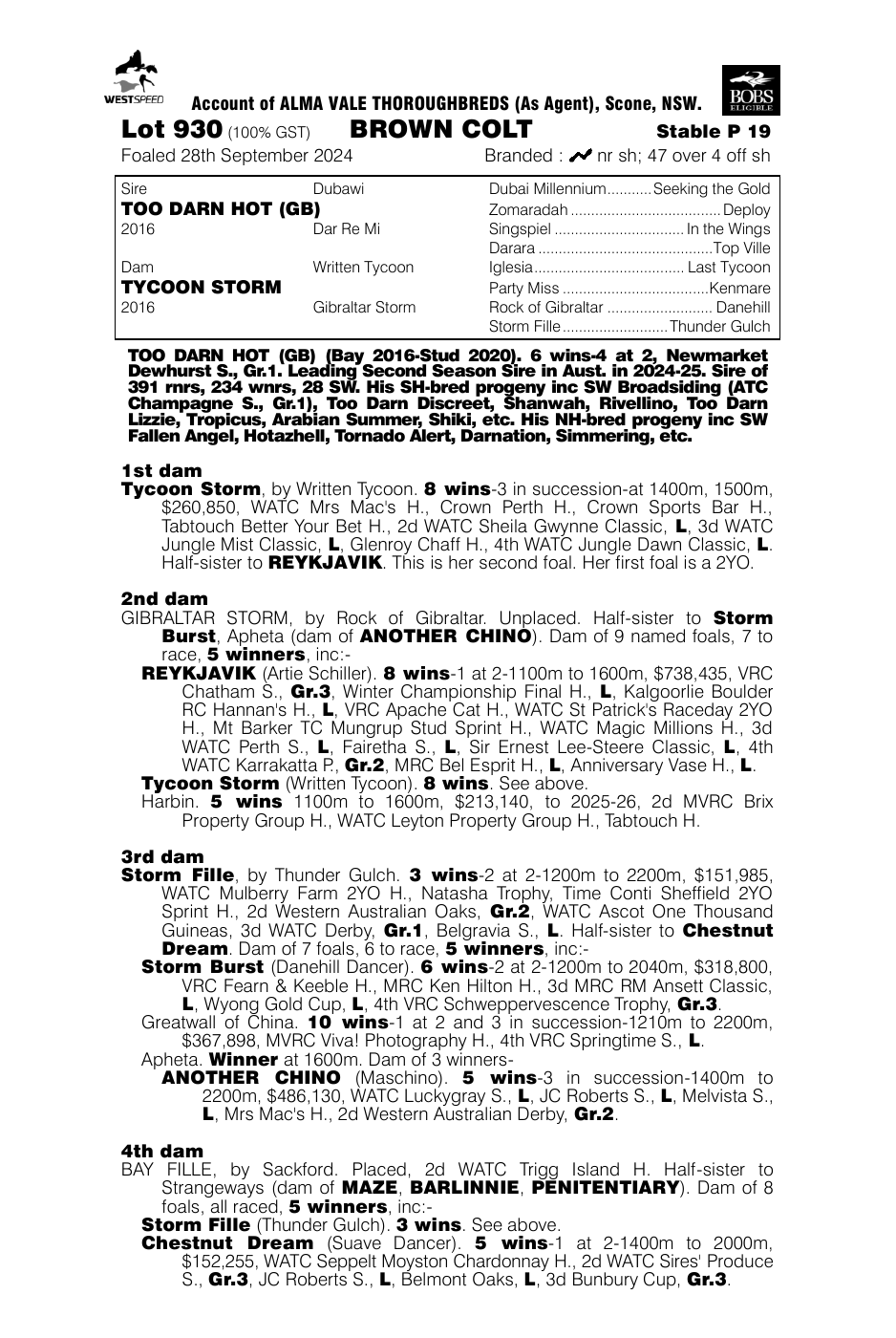 Pedigree - Lot 930