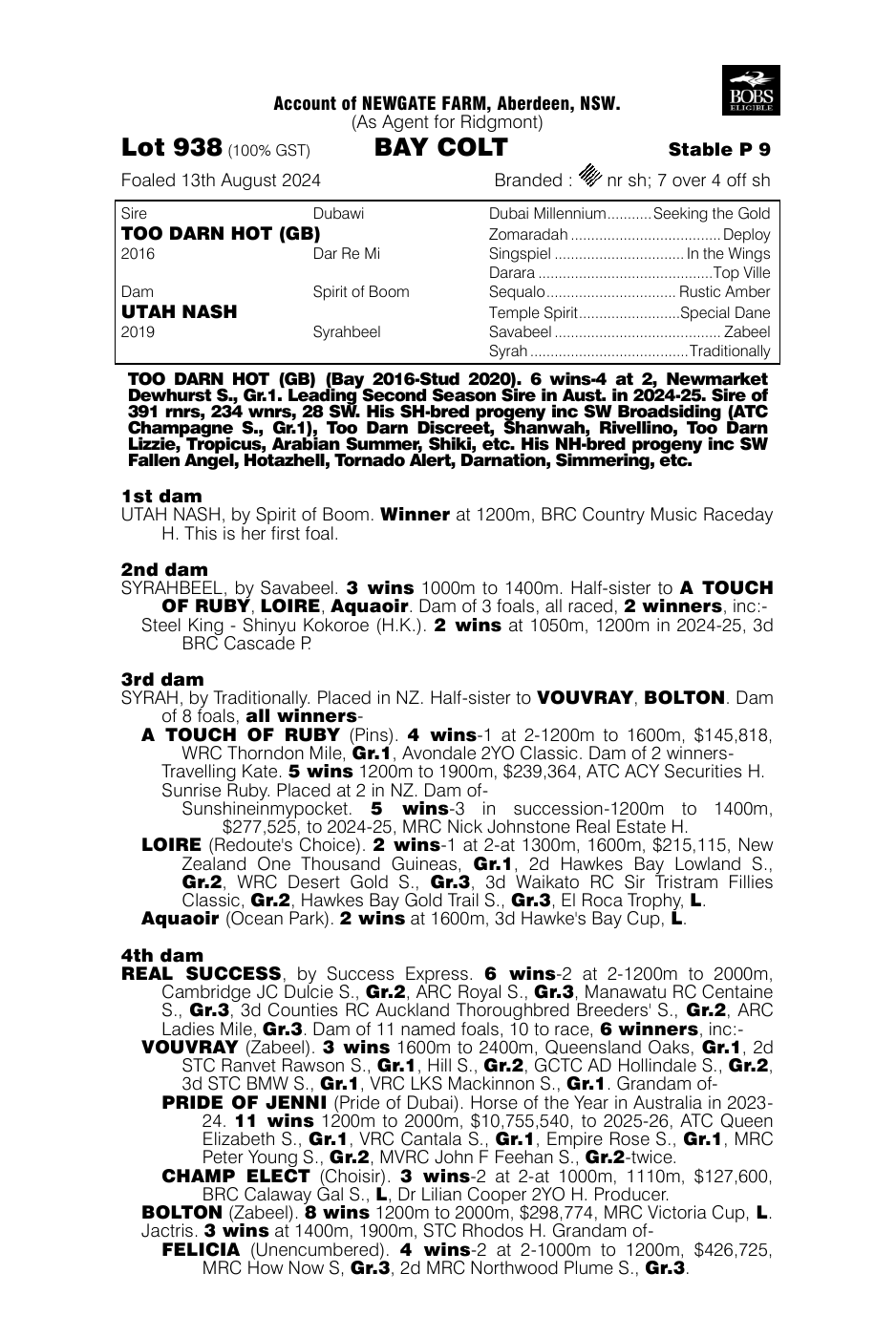 Pedigree - Lot 938