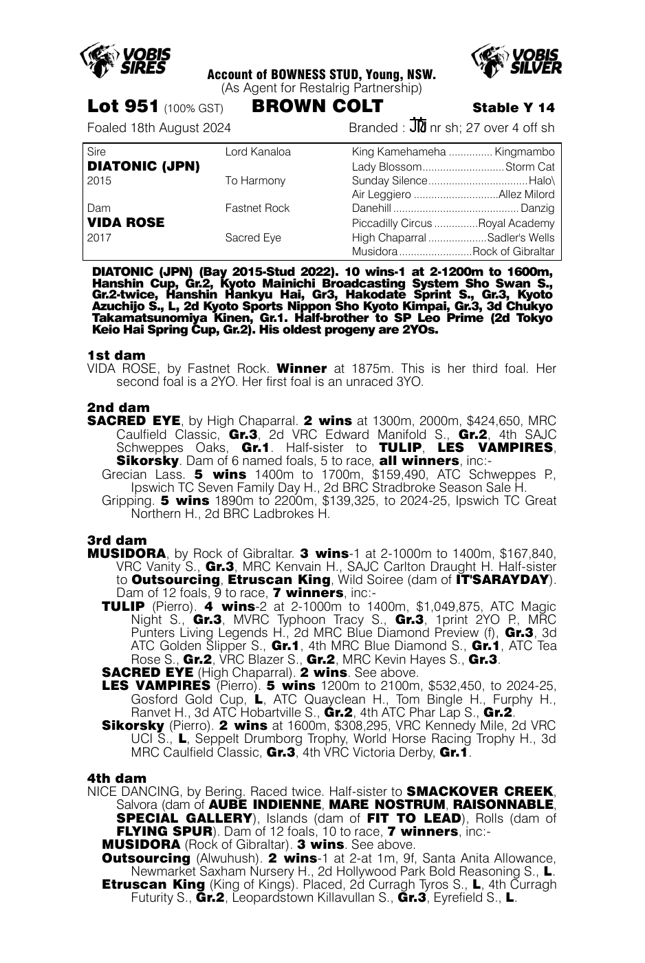 Pedigree - Lot 951