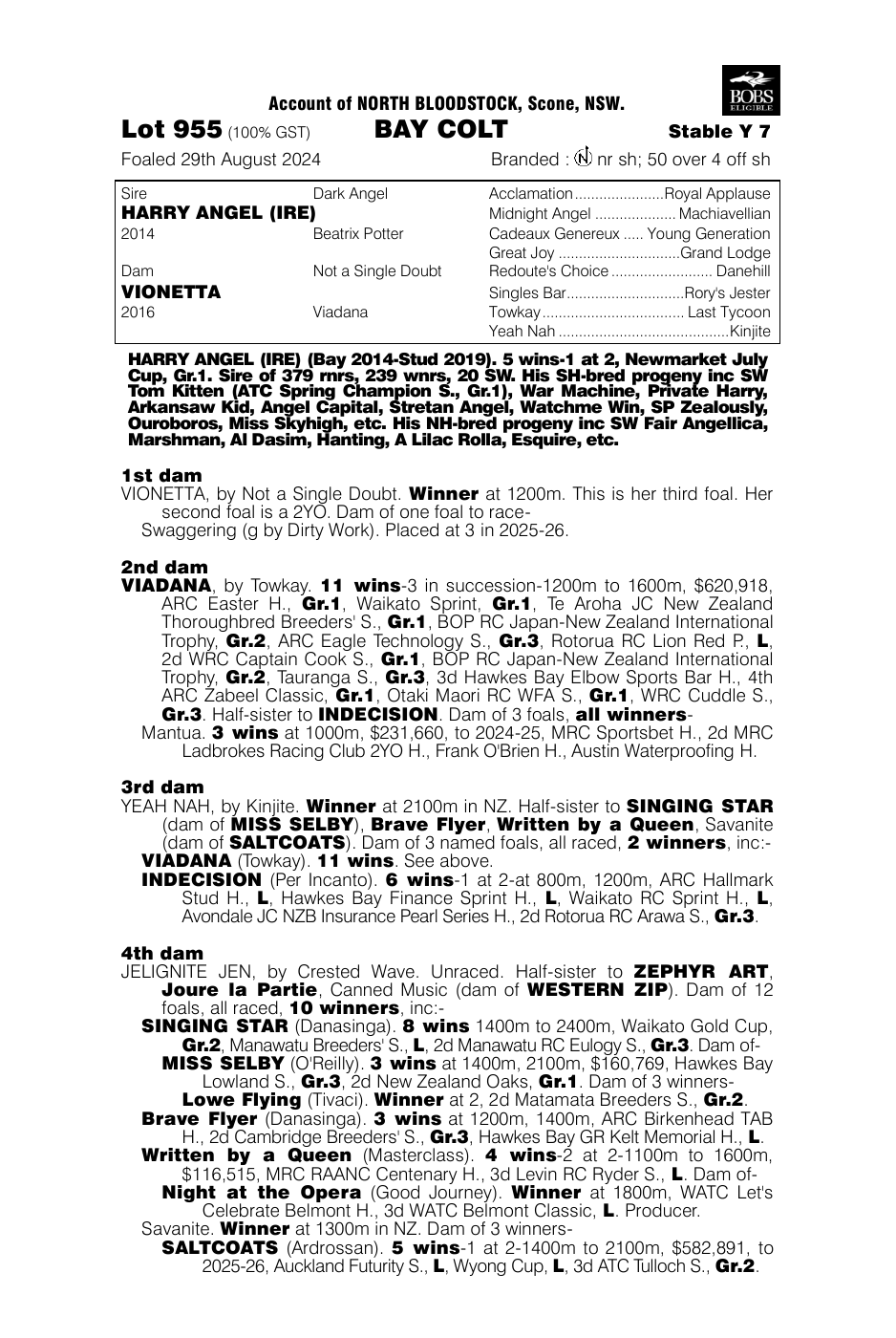 Pedigree - Lot 955