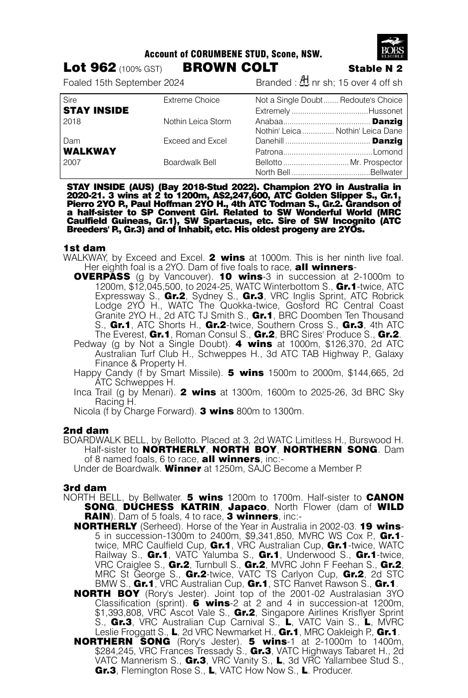 Pedigree - Lot 962