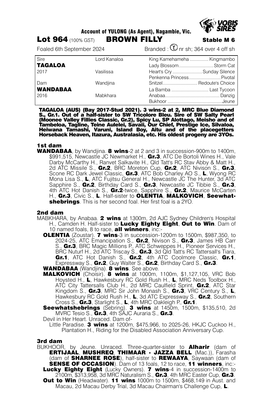 Pedigree - Lot 964