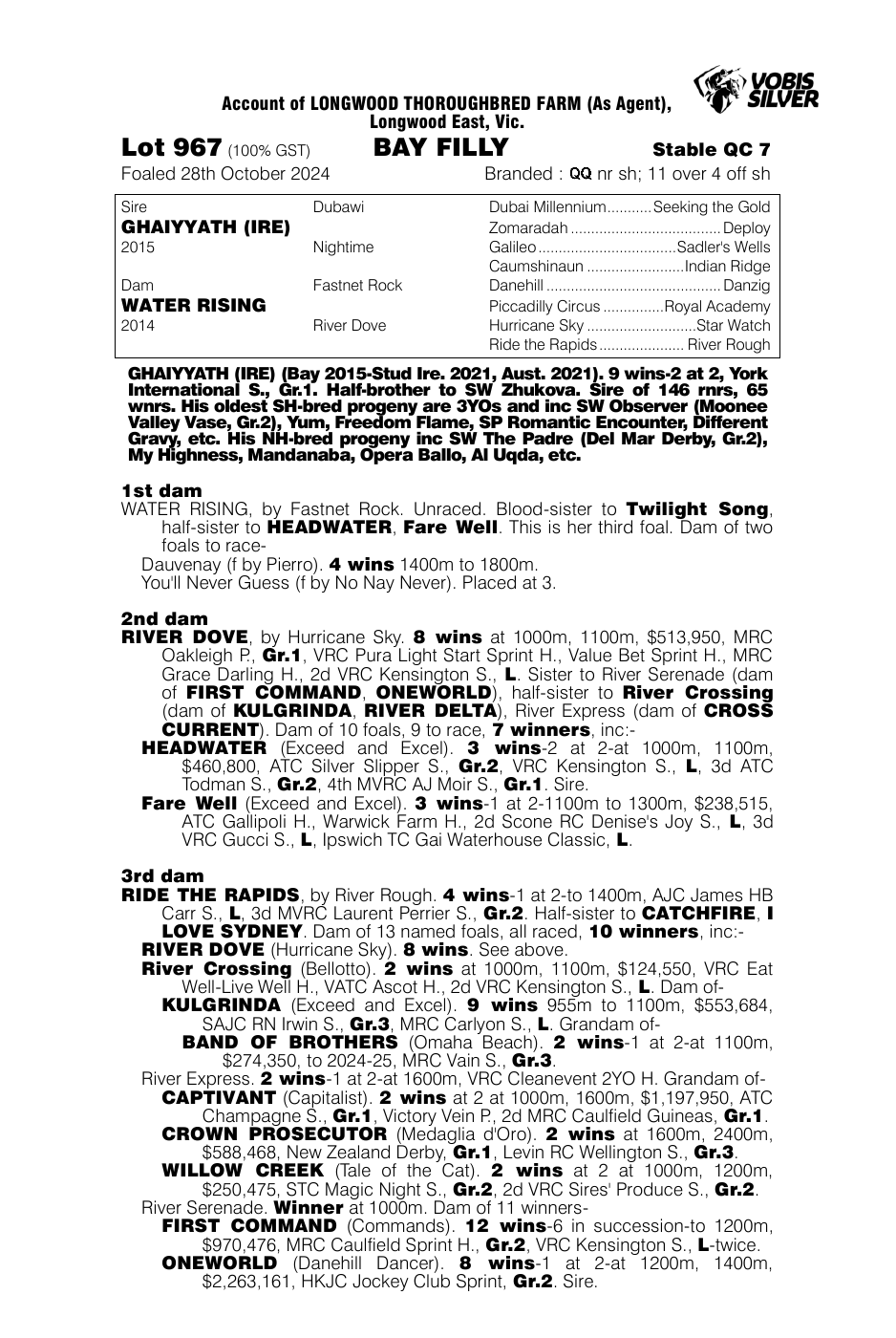 Pedigree - Lot 967
