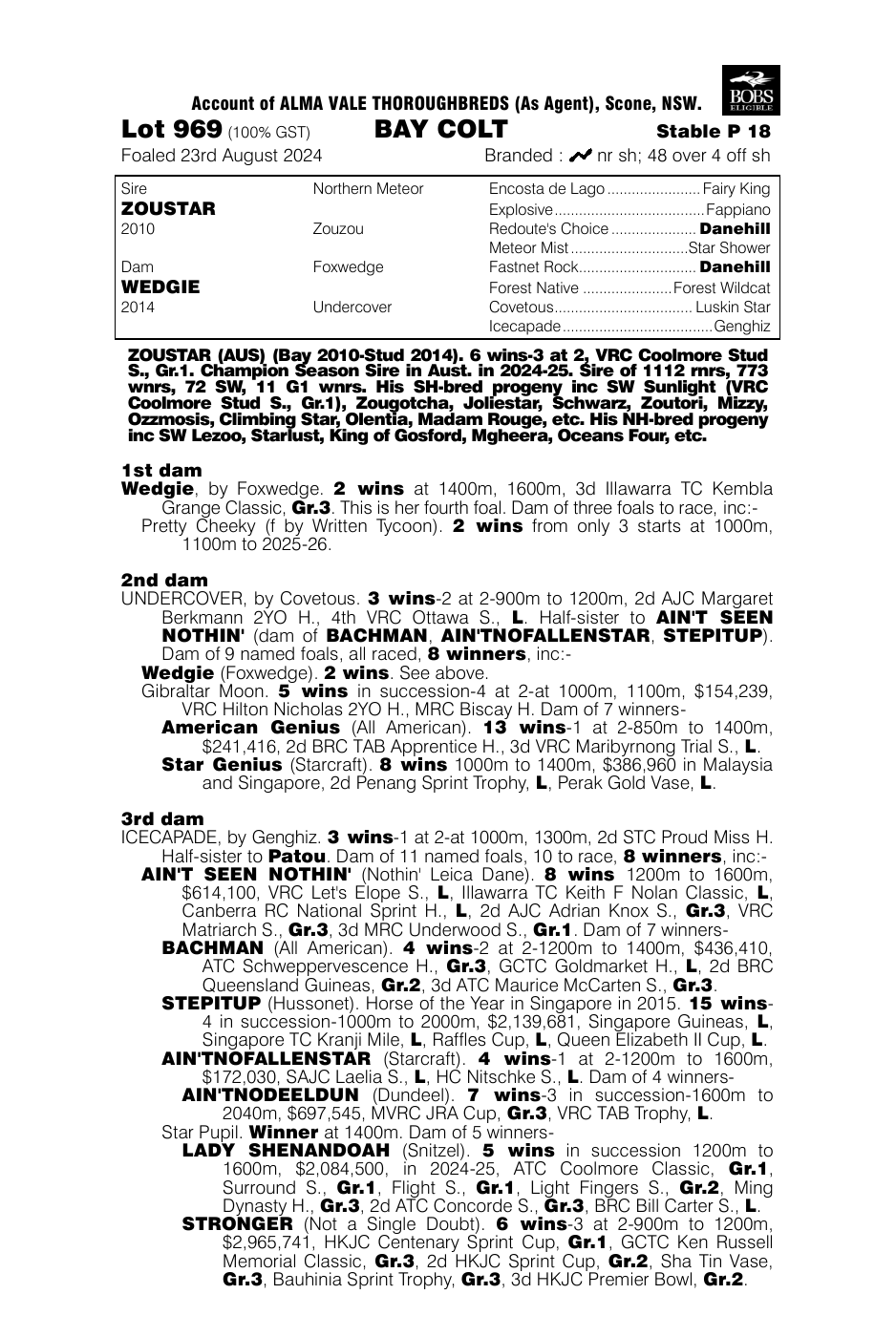 Pedigree - Lot 969