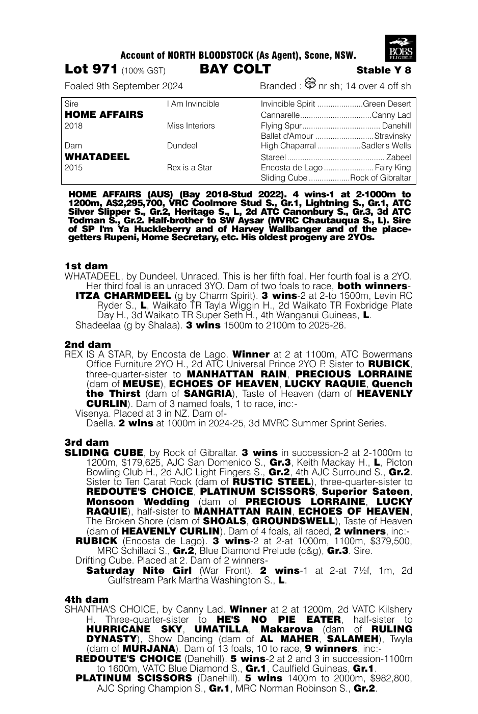 Pedigree - Lot 971