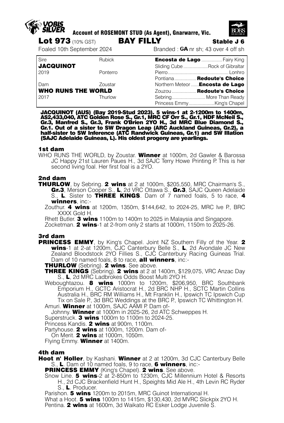 Pedigree - Lot 973