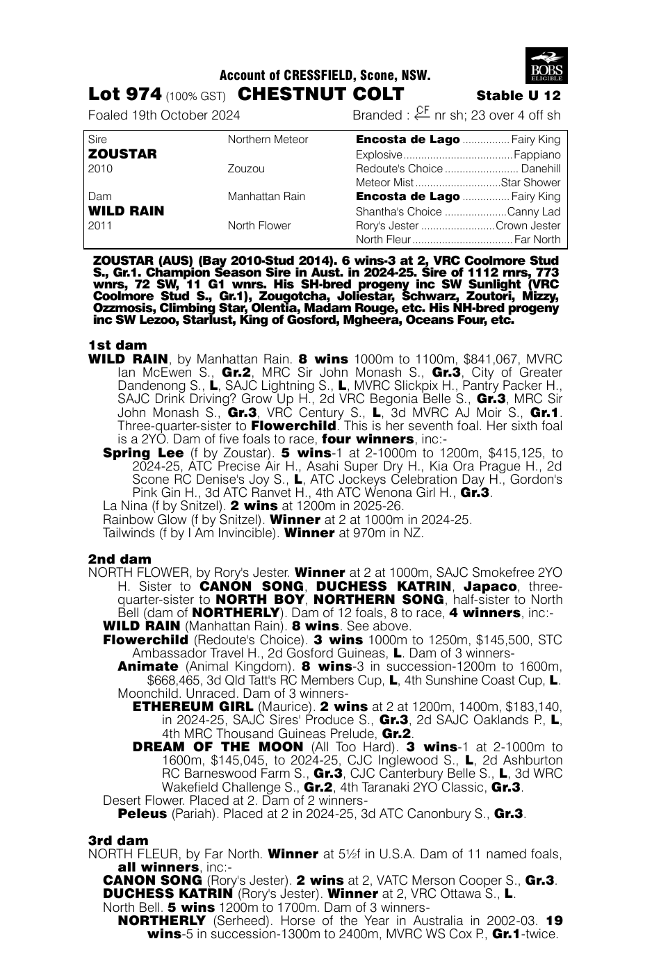 Pedigree - Lot 974