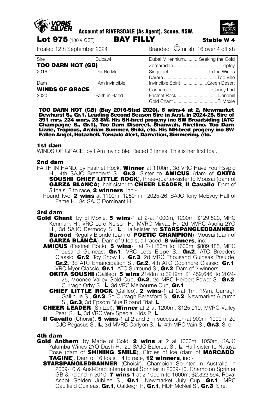Pedigree - Lot 975